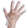 Disposable Gloves