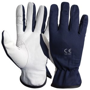 Leather Gloves - LD